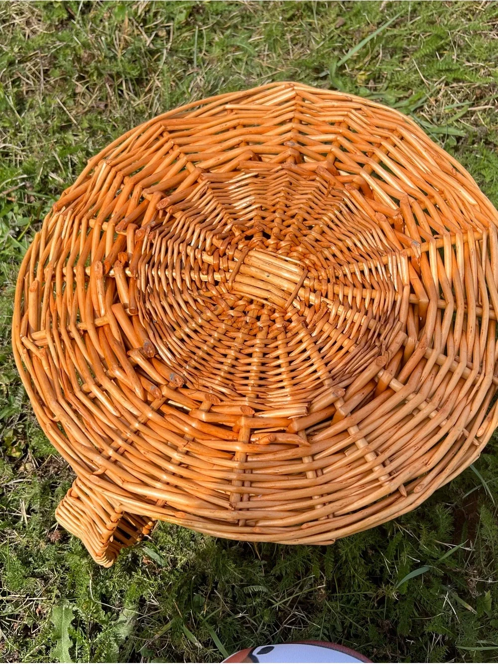 Woven Rattan Decorative Basket - Natural Brown . Coffee Cup Shape